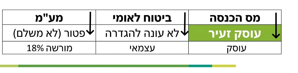 עוסק זעיר - סוגי רישום ברשויות מס שונות